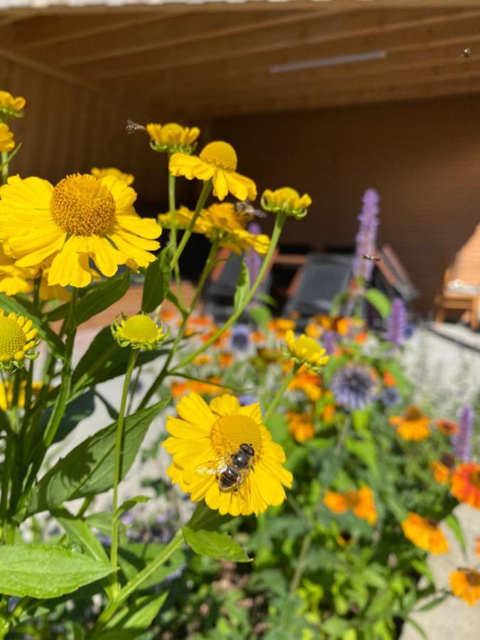 Ferienwohnung Zollhaus St. Vith Екстериор снимка